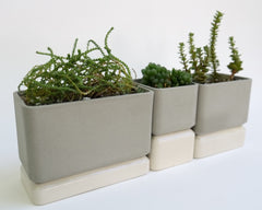 Sill Planters