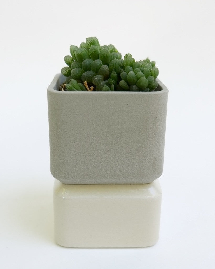 Sill Planters