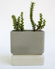 Sill Planters