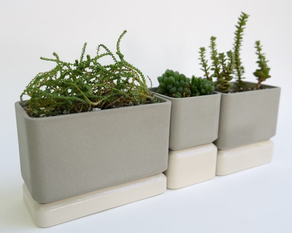 planting pot for ledges and sills Sill Planters – Mingleware