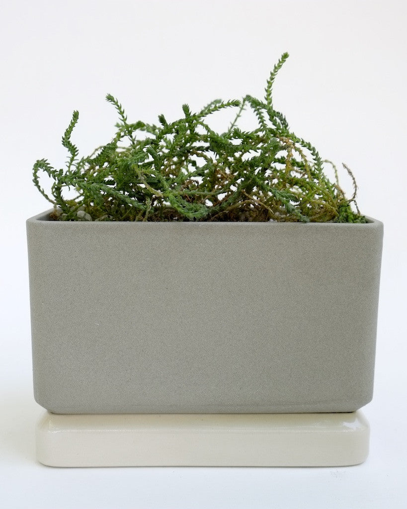 planting pot for ledges and sills Sill Planters – Mingleware